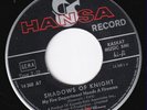 SHADOWS OF KNIGHT * 1968 PSYCH FREAKBEAT MOD GARAGE 45 * Listen To It