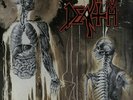 Death Human vinyl LP album record Dutch RC9238-1 R/C RECORDS 1991