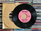 HONEY AND THE BEES ALMOST EIGHTEEN/PLEASE GO AWAY ON PENTAGON 45 RPM 7