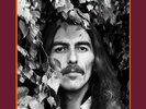 GEORGE HARRISON (Beatles) The Vinyl Collection 18 LP Vinyl Box 2017