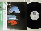ENID IN THE REGION OF THE SUMMER STARS NEXUS K22P-504 Japan OBI VINYL LP