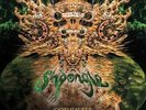 SHPONGLE: CODEX VI (LP vinyl *BRAND NEW*)