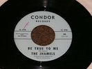THE JHAMELS  SOUL FUNK GARAGE 45 