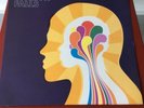 Zero 7 - When It Falls - Classic Album 2004 - Vinyl - Mint