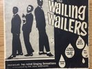 The Wailing Wailers Reggae Dub Vinyl RARE screen printed Vinyl