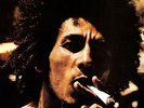 Bob Marley - Catch A Fire (Vinyl Used Very Good)