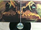 Toad  s/t  VERY RARE ORIG. 1971 DE Bellaphon BLPS 19047  ARCHICE COPY MINT-