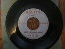 Hound Dog Taylor Blues 45 record