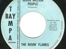 HEAR Rovin' Flames-Seven Million People '66 FL JANGLE LAMENT b/w DIDDLEY PUNKER