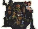 Turtle Power + insert Teenage Mutant N... shaped picture disc  UK