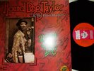 HOUND DOG TAYLOR    
