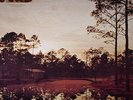 SILVER JEWS - Starlite Walker - Vinyl (LP)