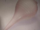 DEFTONES - Adrenaline - Vinyl (heavyweight vinyl LP)