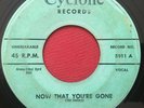 THE JESTERS   NOW THAT YOU'RE GONE / I LAUGHED   RARE DOOWOP 45   CYCLONE 5011