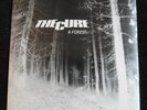 The Cure A Forest First Press 7