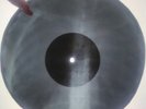Beatles - Let It Be  X-RAY USSR ROENTGEN Bones Record
