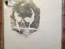 Hoquiam Damien Jurado LP Record /500 Sub Pop Indie Folk Bazan J Mascis Wilco