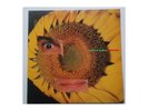 Caetano Veloso- Circulado - LP OIS