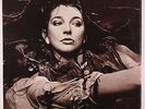 Kate Bush - Hounds Of Love 10