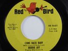 Northern Soul 45 RODDIE JOY Come Back Baby RED BIRD HEAR