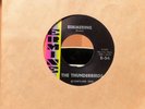 THE THUNDERBIRDS SIMMERING/SUMMERTIME 45 RPM RECORD EXCELLENT