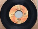 BABY EARL & THE TRINI-DADS-BACK SLOP/EVERYBODY DO THE SKA-SPQR-RARE DJ Promo 45