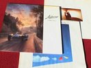 3 Vinyl LPs von CHRIS REA - Auberge (1991) Water Sign (1983) On the beach (1986)