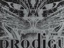 The Prodigy Charly V Rare Original 1991 2” Vinyl XL Mint Condition Keith Flint