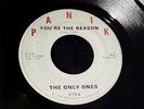 The ONLY ONES You're The Reason / Find A Way MICHIGAN GARAGE PSYCH 45 Panik HEAR