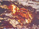 Duster Bennett Bright Lights... NEAR MINT Outline Records Vinyl LP