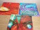 The Prodigy + Babylon Zoo Vinyl 12'Rare. Spaceman, Breathe, Everybody Bundle 90s