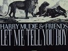 LP Dennis Walks, Winston Wright a.o. Harry Mudie & Friends : Let Me Tell You Boy