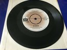 BLONDIE - IN THE FLESH / X OFFENDER UK 7