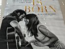 A Star is Born Movier Banner, 5x8 feet, Authentic