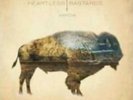 HEARTLESS BASTARDS: ARROW (LP vinyl *BRAND NEW*)