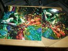 Led Zeppelin - Kashmir - Rare Ltd Edition Picture Disc For Fan Club Mexico - TOP