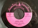 Jimmie Maddin, American Int 525, Bird Dog & We Love The Dodgers, Nice rocker