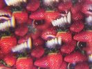 Thee Oh Sees - Floating Coffin [New Vinyl LP]