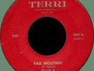 WILLIE B. Bad Mouthin' / This I Gotta See 45rpm Terri '61 killer harmonica blues