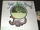 PETER HAMMILL Chameleon in the Shadow of the Night LP RARE 1st GERMAN CHARISMA