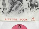 THE KINKS  Village Green / Picture Book  rare DENMARK Import 45 with PicSleeve