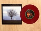 Pink Floyd - Take It Back 7