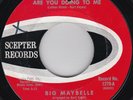 Northern Soul--BIG MAYBELLE--Oh Lord, What Are You Doing To Me / Same Old Story-