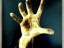 System Of A Down ?– System Of A Down (Vinyl LP) PLAYED ONCE/NEAR-MINT