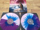The Claypool Lennon Delirium South Of Reality 2x LP Splatter Colour Vinyl 180G