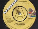 THE CAPREEZ   **    How To Make A Sad Man Glad  **   U K  Grapevine Demo **