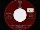 70s Soul 45 - Dorothy Morrison - I Can't Go Without You - Brown Door - mp3