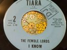 Ripping Florida Garage Punk 45 The Fewdle Lords I Know/Farewell to Today HEAR