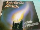 MIGHTY  MAYTONES // KEEP THE FIRE BURNING // THIRD WORLD  //  LP
