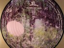 Black Moth Super Rainbow - Dandelion Gum Vinyl LP Limited Edition Picture Disc